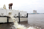 Калининская АЭС: более 1 тонны молоди рыбы выпущено в озера-охладители атомной станции 