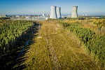 Ленинградская АЭС на 105,4% выполнила план июня по выработке электроэнергии 