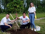 Коллектив «Смоленскатомэнергоремонта» принял участие в озеленении Атом-парка в Десногорске