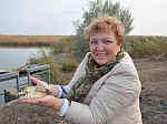 Ростовская АЭС: в реку Дон выпущено почти 2 млн мальков сазана