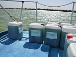 Ростовская АЭС: на водоёме-охладителе прошла операция по альголизации – внесению в водоём штамма водоросли хлорелла