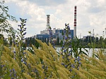 Курская АЭС направила на природоохранные мероприятия в 2017 году порядка 70 миллионов рублей 