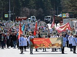 Трудовой коллектив Ленинградской АЭС принял самое активное участие в праздновании 73-й годовщины Великой Победы