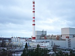 Ленинградская АЭС полностью выполнила годовой план по наработке изотопов и обеспечила государственный оборонный заказ по поставке легированного кремния