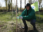 Курская АЭС: курские атомщики поддержали Всероссийскую экологическую акцию «Зеленая весна»
