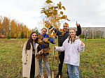 Смоленская АЭС: в г. Десногорске в рамках Всероссийской акции «Зеленая Россия» высадили 40 молодых саженцев краснолистных дубов 