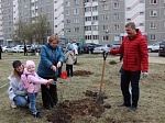 Смоленская АЭС: 40 добровольцев провели экологическую акцию в своём дворе