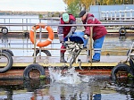 Смоленская АЭС выделила в 2017 г. свыше 1 млн руб. на мероприятия  по зарыблению десногорского водохранилища