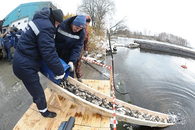 Белоярская АЭС в 2021 году вложила в охрану окружающей среды около 250 млн рублей