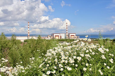 Кольская АЭС: более 80% жителей Мурманской области поддерживают атомную энергетику