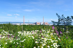 Кольская АЭС: более 1200 человек поддержали экологическую акцию «Зелёная весна»