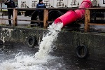 До конца ноября Смоленская АЭС выпустит в водохранилище более 30 тонн рыбы 