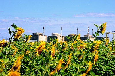 Энергоблок №2 Балаковской АЭС выведен в плановый ремонт на 38 суток