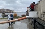 Белоярская АЭС выпустила в Белоярское водохранилище миллионного толстолобика