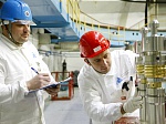 Курская АЭС впервые начала производство промышленного радиоизотопа кобальта (Со-60)
