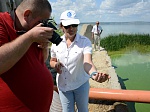 Балаковская АЭС запустила в Саратовское водохранилище более 73,5 тыс. мальков стерляди