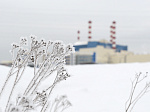 Росэнергоатом: сильные морозы не повлияли на работу российских АЭС