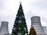 В 2021 году Нововоронежская АЭС выработает рекордные 26,95 млрд кВтч электроэнергии