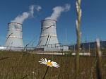 Ленинградская АЭС направила почти 900 млн рублей на охрану окружающей среды в прошлом году 