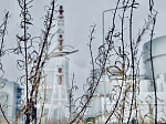 Ленинградская АЭС: энергоблок №4 будет выведен в плановый текущий ремонт