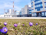 Ленинградская АЭС в мае 2020 г. выполнила госплан по выработке электроэнергии почти на 112%