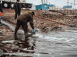 Калининская АЭС выпустила в озёра-охладители более 70 тысяч мальков рыбы для борьбы с моллюском
