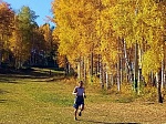 4000 км преодолели за неделю участники онлайн челленджа Смоленской АЭС