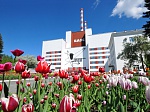 Белоярская АЭС начинает вывоз ОЯТ реакторов АМБ на переработку
