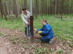 Смоленская АЭС: 30 тысяч м2 лесопарковой зоны очистили атомщики в рамках Всероссийской акции «Зелёная весна»