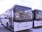 К концу 2020 года Курская АЭС обновит все пассажирские автобусы по перевозке персонала