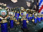 При поддержке Росэнергоатома и Ростовской АЭС в Волгодонске прошел Всероссийский турнир по рукопашному бою с участием более 600 спортсменов 