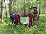 Смоленская АЭС: предприятия Десногорска объединились, чтобы провести экологическую акцию