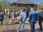 Волонтеры Балаковской АЭС оказали помощь приюту для животных г. Балаково
