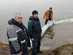 Нововоронежская АЭС выпустила в пруд-охладитель шесть тонн молоди толстолобика
