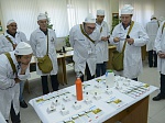 Инспекторы МАГАТЭ прошли обучение на предприятиях топливного дивизиона Росатома