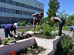 Более 130 многолетних растений высадили молодые работники Калининской АЭС в День медицинского работника