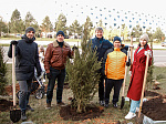 Сотрудники «дочки» Росэнергоатома высадили более 450 деревьев в рамках проекта по созданию ЦОД «Иннополис»