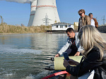 Ростовская АЭС: в акваторию водоема-охладителя выпущено почти 4,5 тонны рыб-мелиораторов