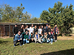 Волонтеры Балаковской АЭС оказали помощь приюту для животных г. Балаково