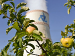 На энергоблоке №1 Ростовской АЭС завершилась опытно-промышленная эксплуатация ядерного топлива для реакторов ВВЭР-1000 с антидебризным фильтром второго поколения АДФ-2