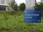 В Мурманске появилась новая клиентская аллея АтомЭнергоСбыта