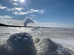 Затраты Ленинградской АЭС на экологию в 2020 г. составили почти 5 млрд рублей