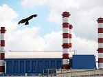 Белоярская АЭС прошла международную экологическую проверку