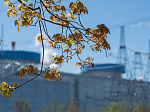 Калининская АЭС на 2,5% перевыполнила госзадание апреля по выработке электроэнергии