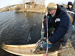 Белоярская АЭС выпустила в водохранилище 269 тысяч мальков толстолобика 