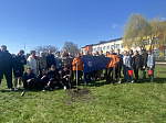 Коллектив «АтомЭнергоСбыт Курск» высадил 80 деревьев к 80-летию Победы в Курской битве