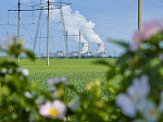 Более 600 млн рублей направила Ростовская АЭС в 2022 году         на экологические мероприятия и охрану окружающей среды