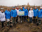 При поддержке Фонда «АТР АЭС» и Росэнергоатома в Воронежской области начались работы по восстановлению лесов