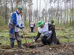 Курская АЭС приняла участие в международной акции «Сад памяти»
