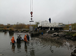Нововоронежские атомщики выпустили в пруд-охладитель восемь тонн молоди толстолобика